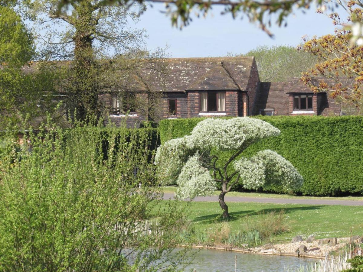 Northlands Farm - Old Farm Cottage Chichester Buitenkant foto